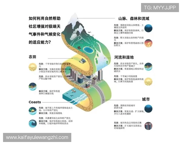 凯发网址全站登录常见问题及快速解决方案指南